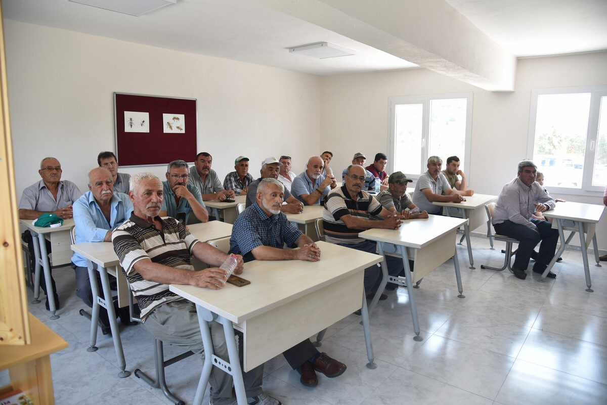 Manisa’da ana arıların dağıtımına devam