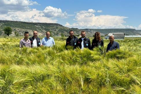 Manisa'da tohumların verimliliği yüzleri güldürüyor