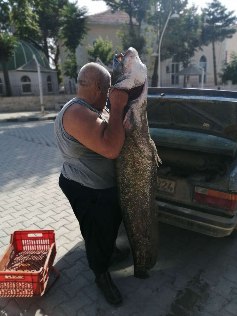 Meric Nehrinde boyunca balik yakaladi - Marmara Bölge: Balıkesir Son Dakika Haberleri ile Hava Durumu