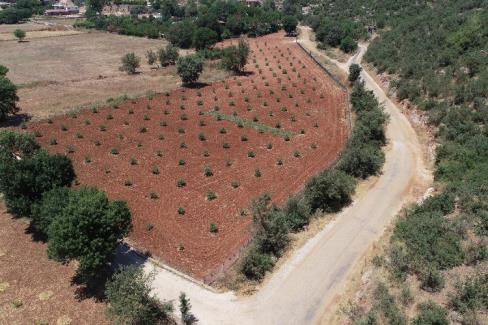 Muğla Büyükşehir Belediyesi kentte