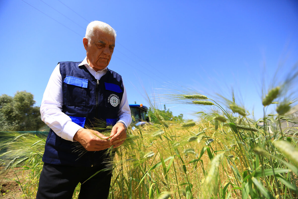 Muğla Büyükşehir Belediyesi 434