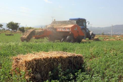 Muğla Büyükşehir Belediyesi 434