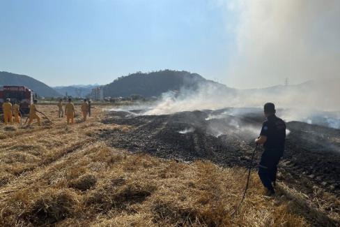 Muğla’dan anız yangınlarına karşı uyarı