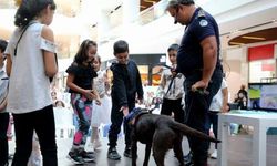 Sakarya'da Pati Festivali'nde renkli görüntüler