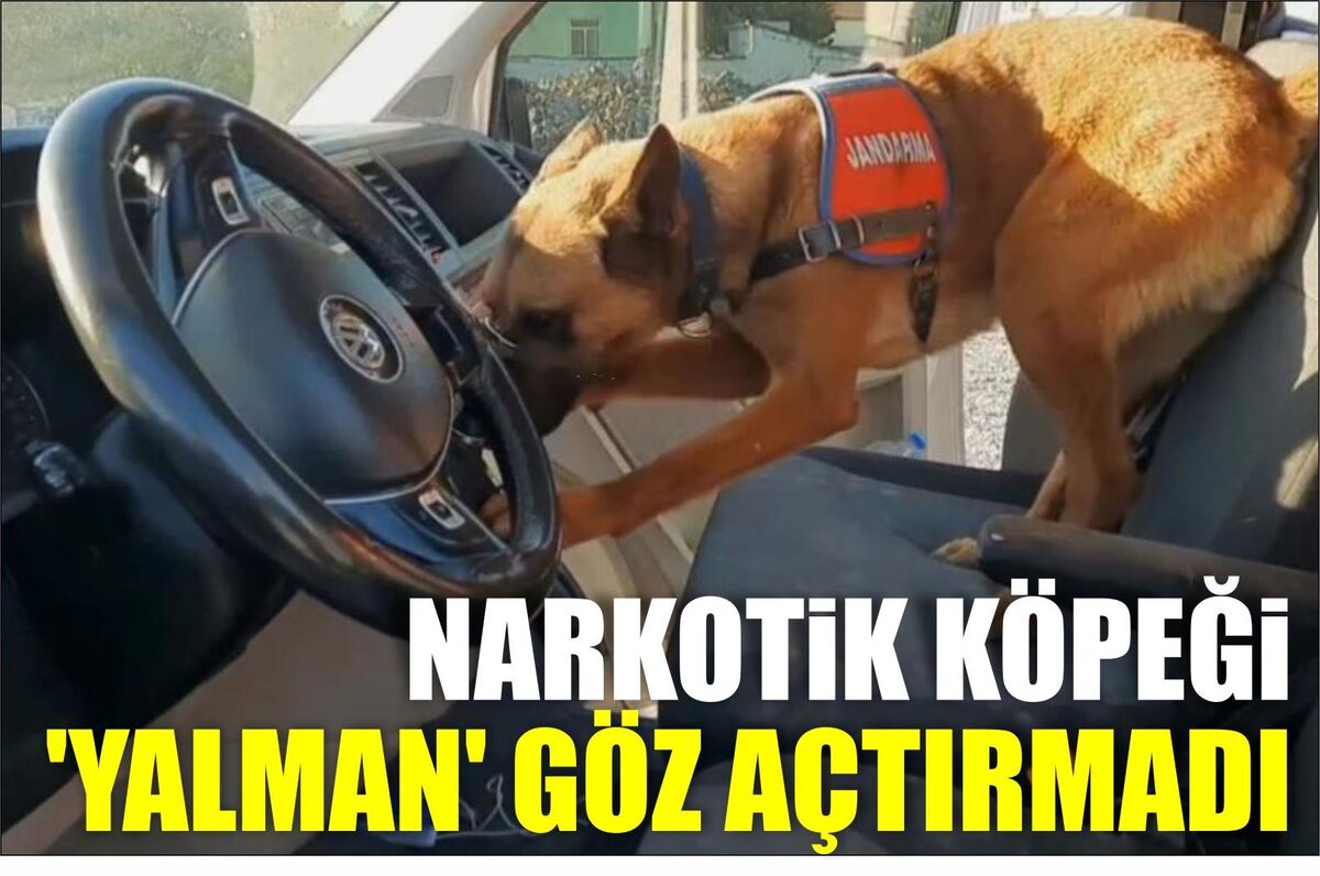 NARKOTİK KÖPEĞİ ‘YALMAN’ GÖZ AÇTIRMADI