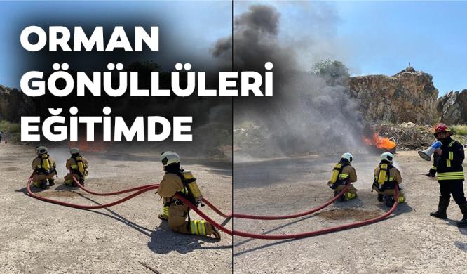 Balıkesir Orman Bölge Müdürlüğü