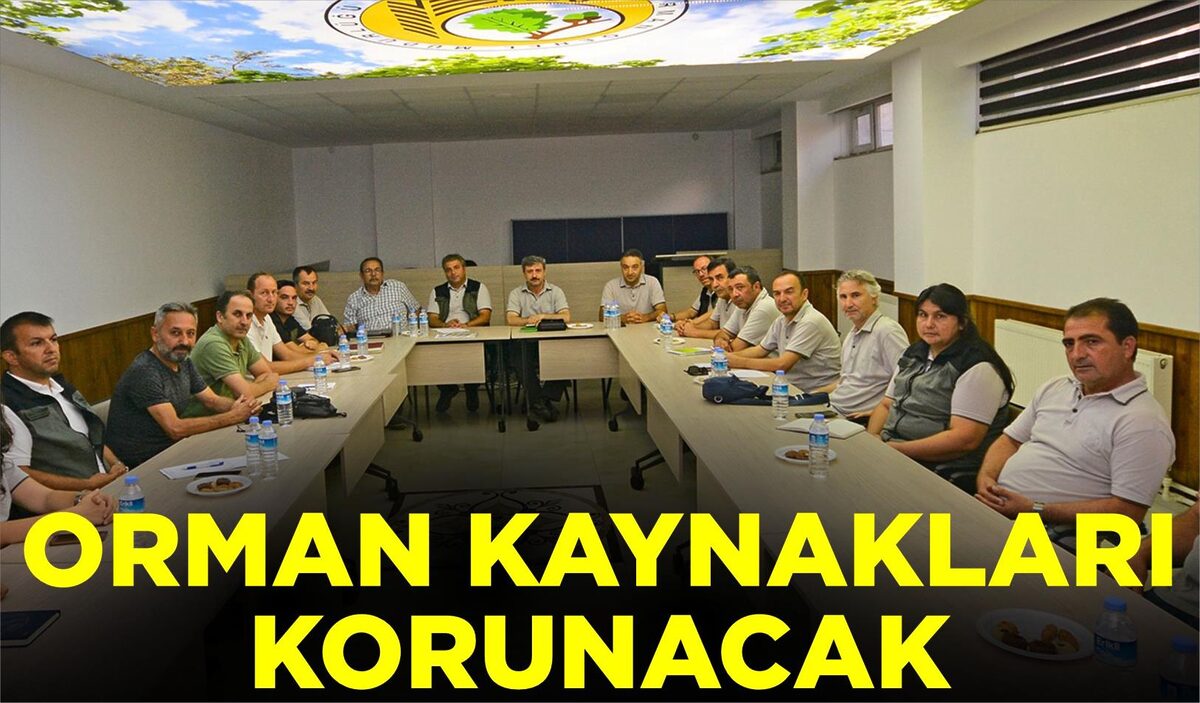 ORMAN KAYNAKLARI KORUNACAK