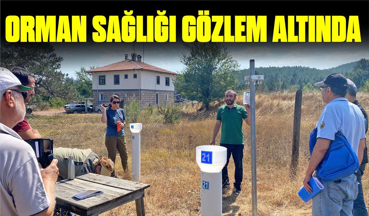 ORMAN SAĞLIĞI GÖZLEM ALTINDA