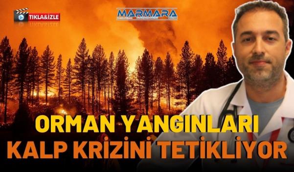 ORMAN YANGINLARI KALP KRİZİNİ TETİKLİYOR