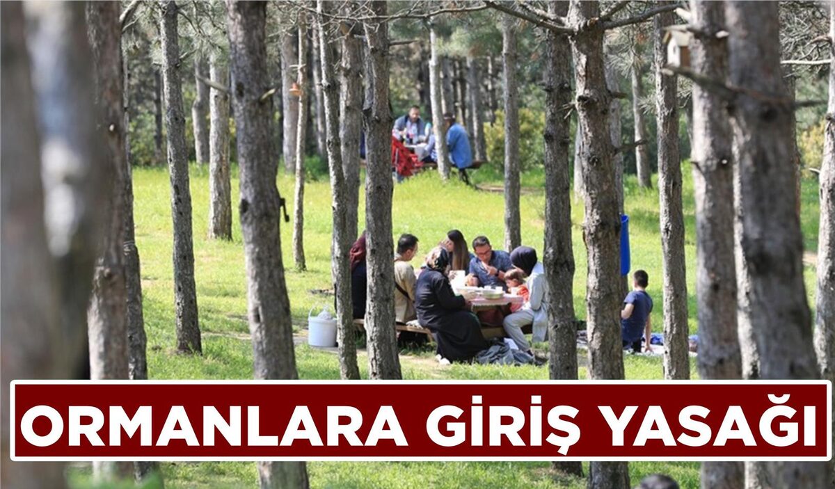 ORMANLARA GİRİŞ YASAĞI