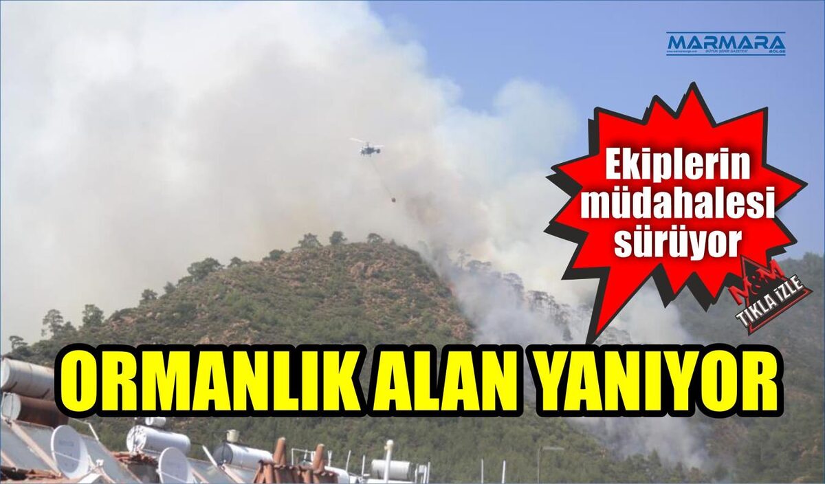 ORMANLIK ALAN YANIYOR