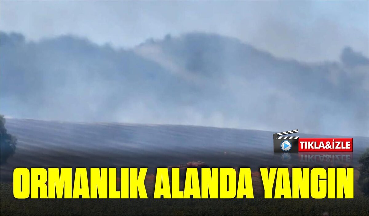 ORMANLIK ALANDA YANGIN