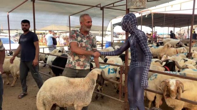 ÖRÜMCEK ADAM KURBANLIK PAZARLIĞINDA