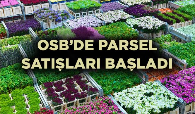 OSB’DE PARSEL SATIŞLARI BAŞLADI