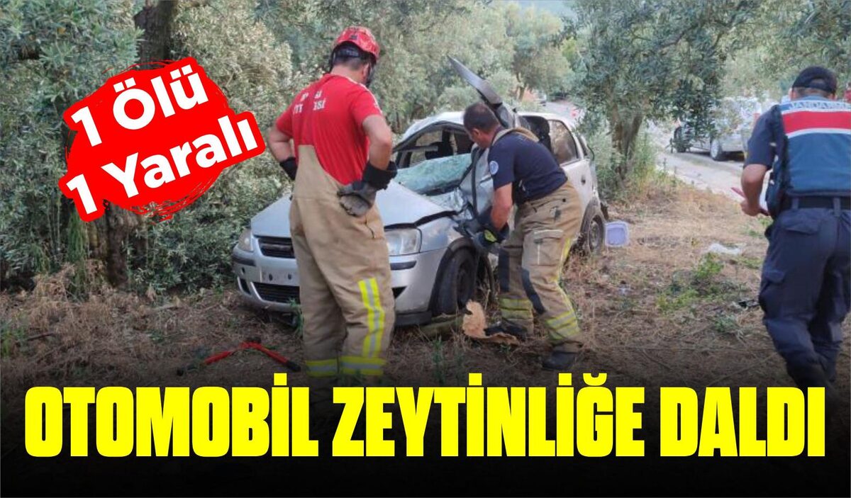 OTOMOBİL ZEYTİNLİĞE DALDI: 1 ÖLÜ, 1 YARALI