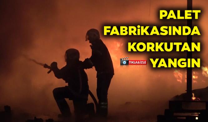 PALET FABRİKASINDA KORKUTAN YANGIN