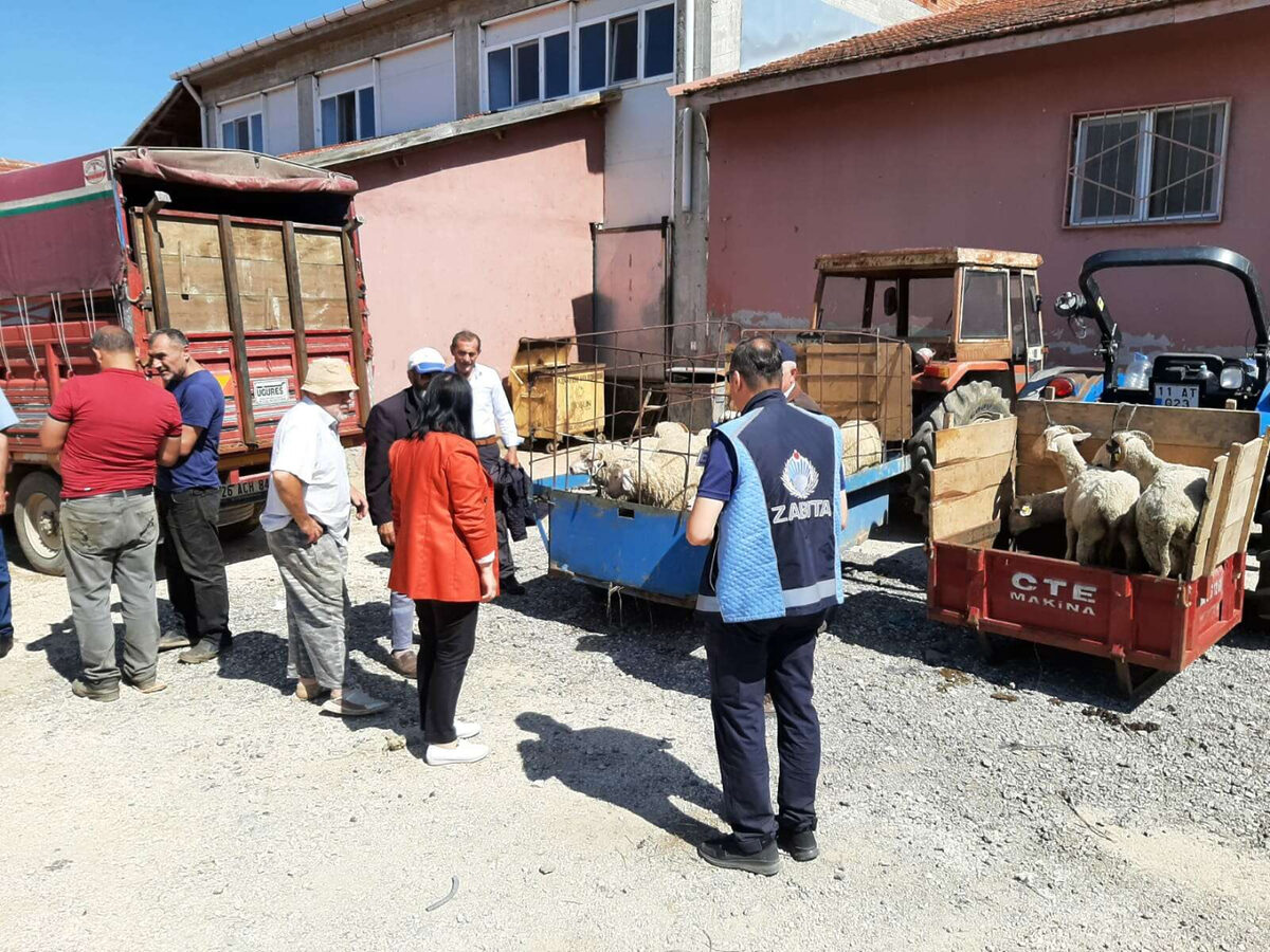 Pazaryerinde kurban satis yerine denetleme - Marmara Bölge: Balıkesir Son Dakika Haberleri ile Hava Durumu