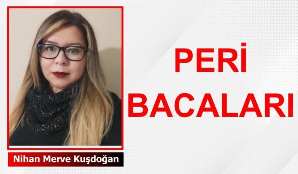 Peri Bacaları: Doğanın Büyülü Heykelleri