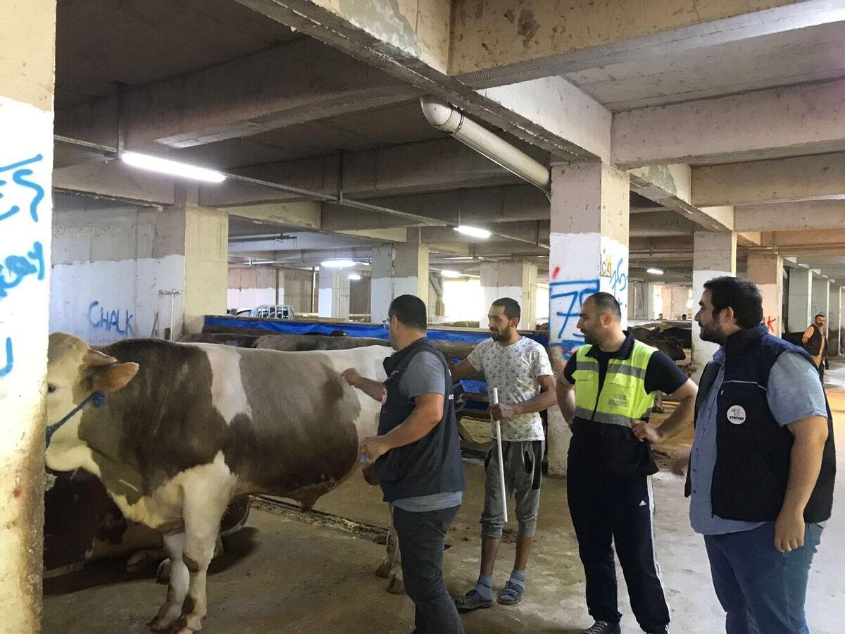 Rizede kurban yerlerinde dezenfeksiyon - Marmara Bölge: Balıkesir Son Dakika Haberleri ile Hava Durumu