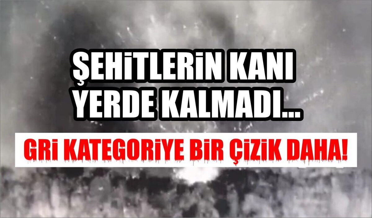 ŞEHİTLERİN KANI YERDE KALMADI… GRİ KATEGORİYE BİR ÇİZİK DAHA!