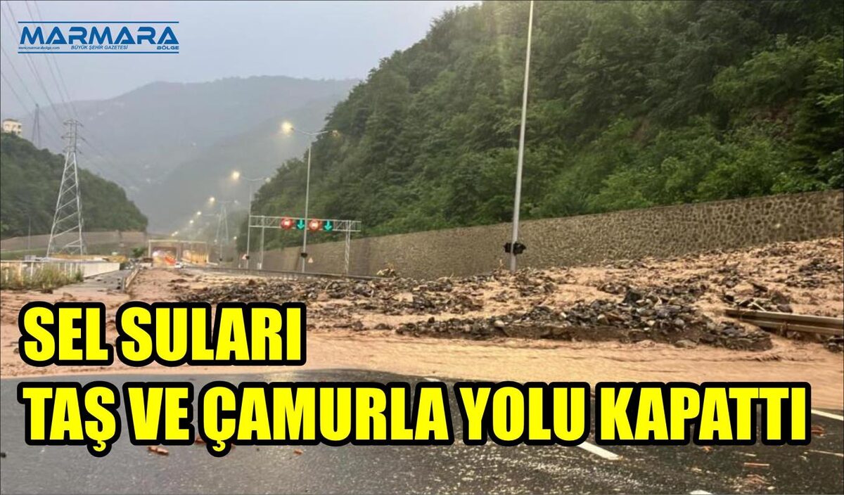 SEL SULARI TAŞ VE ÇAMURLA YOLU KAPATTI