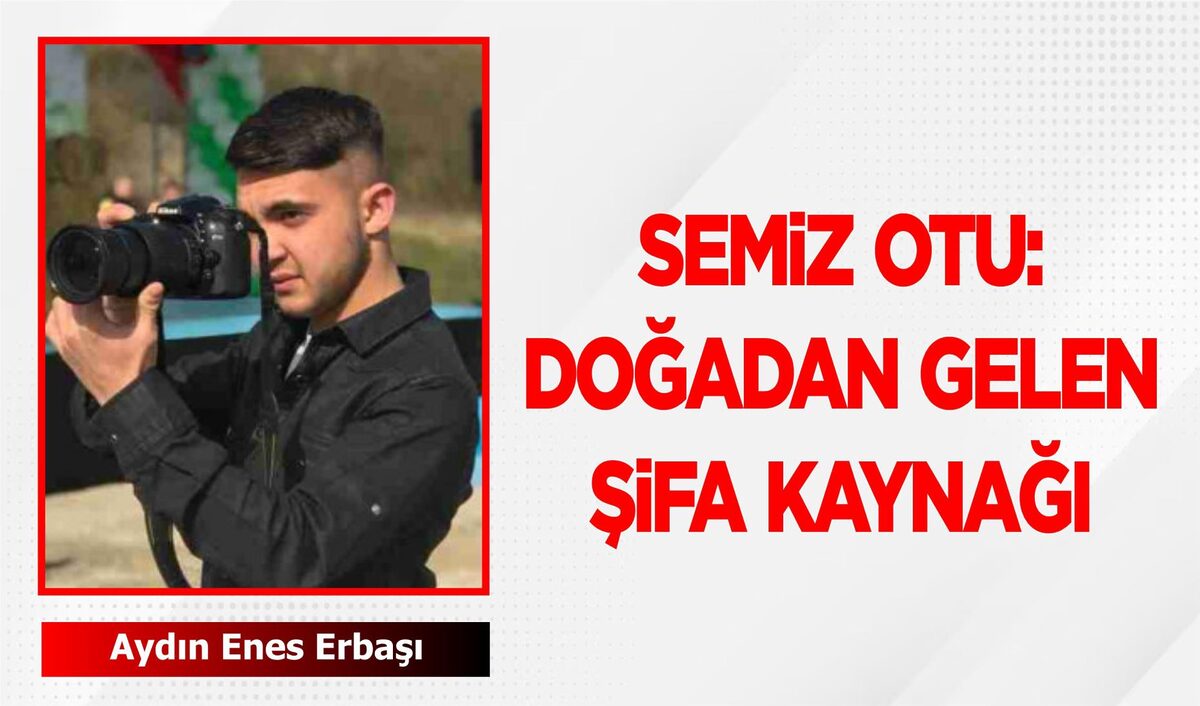 SEMİZ OTU: DOĞADAN GELEN ŞİFA KAYNAĞI