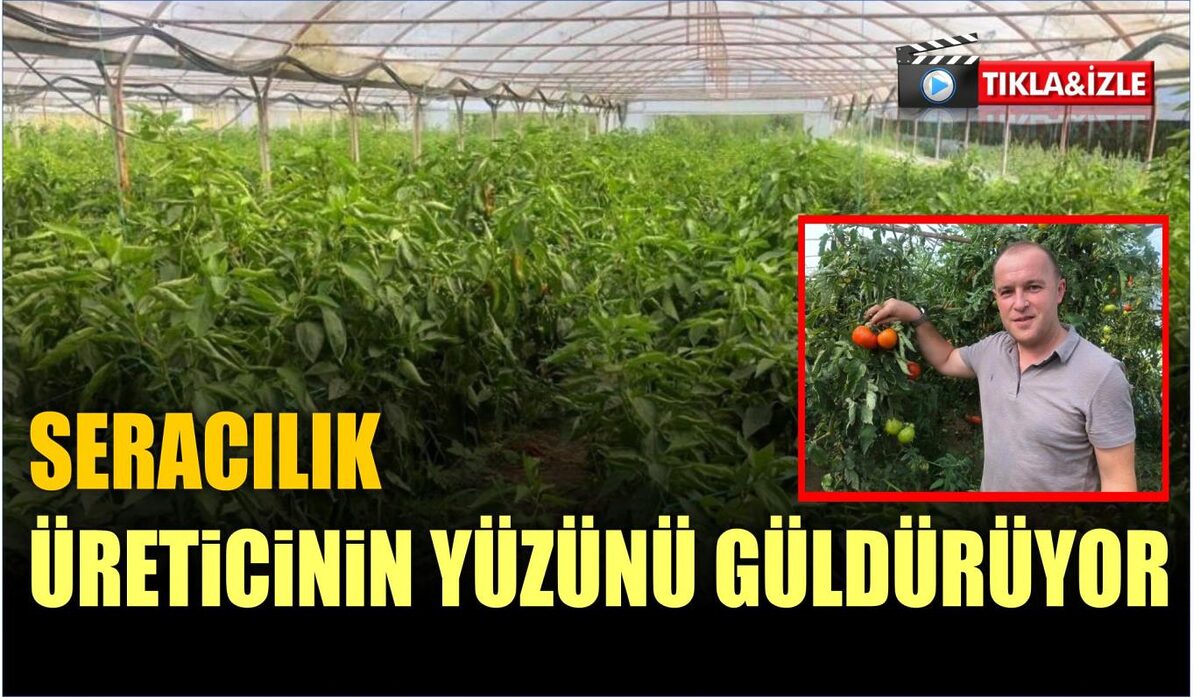 SERACILIK ÜRETİCİNİN YÜZÜNÜ GÜLDÜRÜYOR