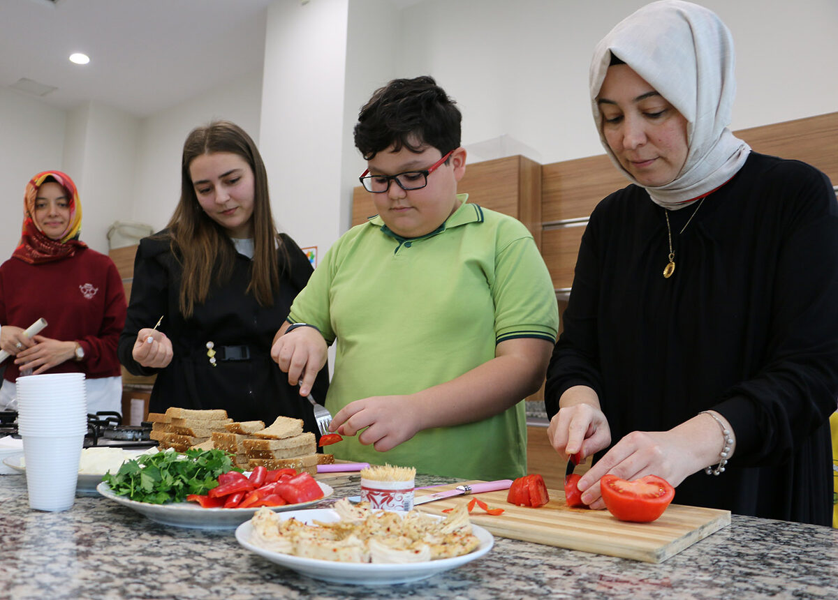 Sakarya’da Adapazarı Sosyal Gelişim