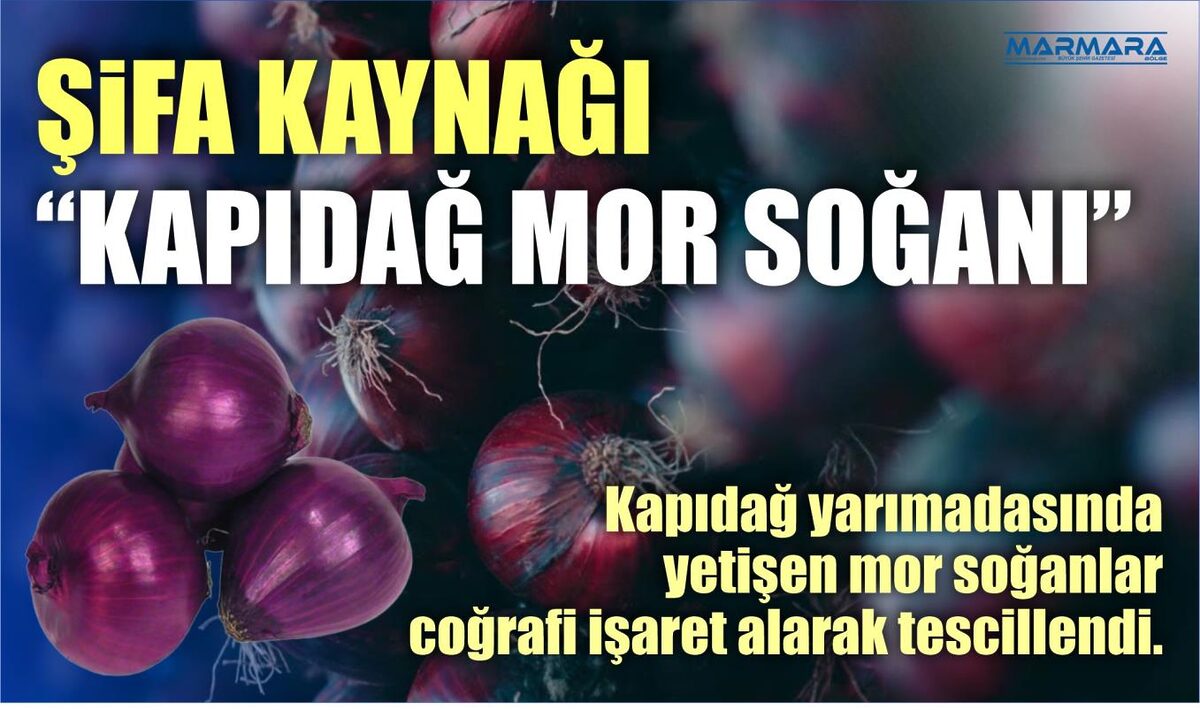 ŞİFA KAYNAĞI “KAPIDAĞ MOR SOĞANI”