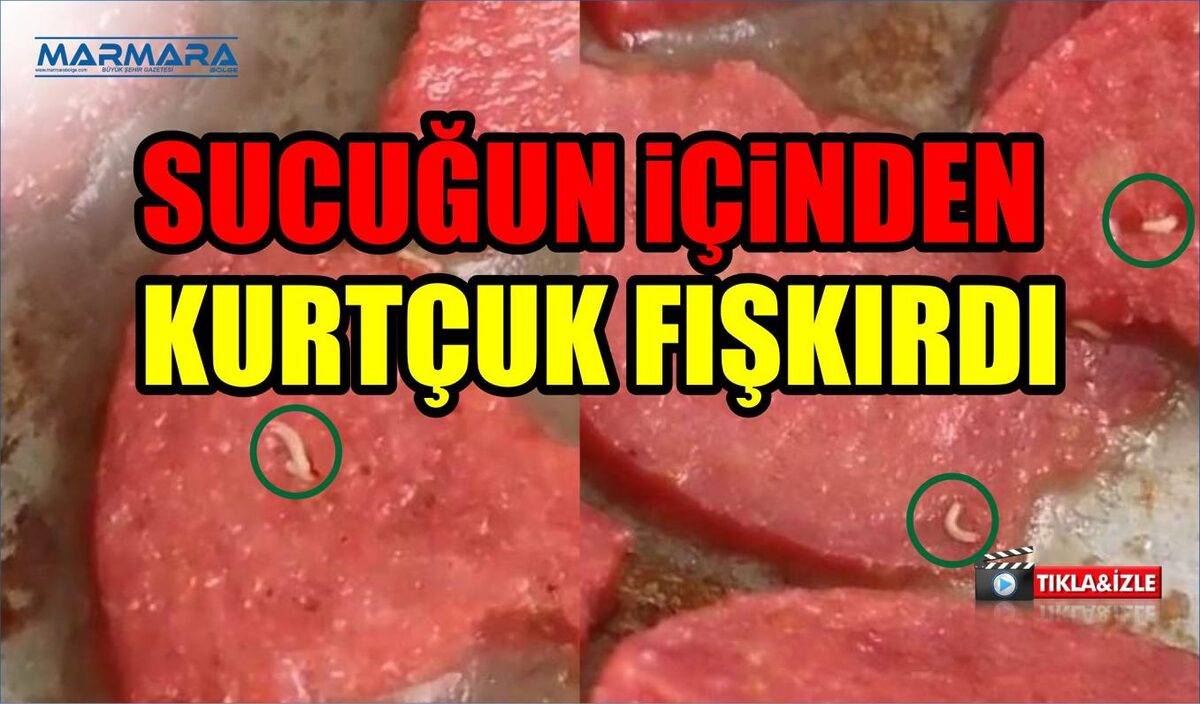 SUCUĞUN İÇİNDEN KURTÇUK FIŞKIRDI  