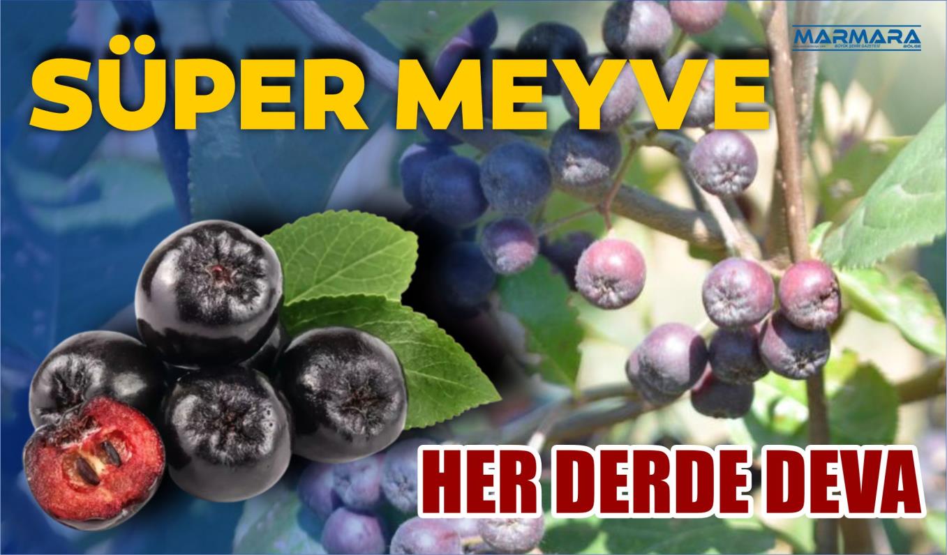 SÜPER MEYVE: HER DERDE DEVA  