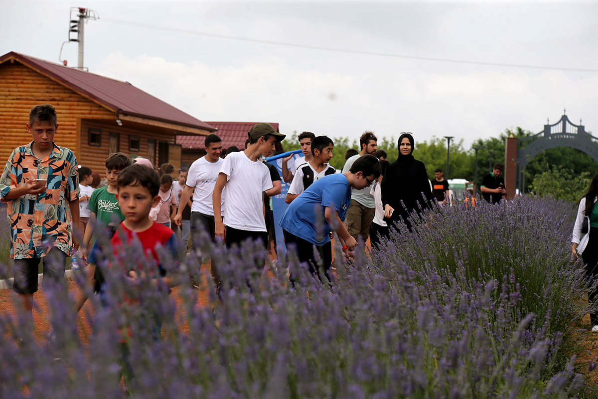 Sakarya’da 120 genç doğaya yakın temas kurdu