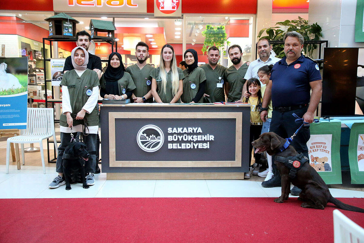 Sakaryada Pati Festivalinde renkli goruntuler - Marmara Bölge: Balıkesir Son Dakika Haberleri ile Hava Durumu