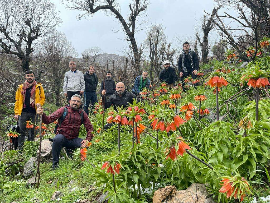 Sason Daglarinda gorsel solen Ters laleler Sason Daglarini susluyor - Marmara Bölge: Balıkesir Son Dakika Haberleri ile Hava Durumu