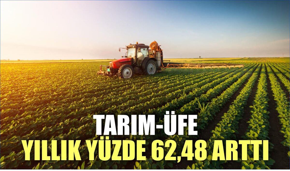 TARIM-ÜFE YILLIK YÜZDE 62,48 ARTTI  