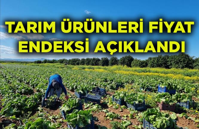 TARIM ÜRÜNLERİ FİYAT ENDEKSİ AÇIKLANDI