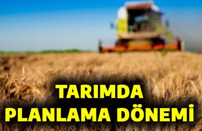 TARIMDA PLANLAMA DÖNEMİ