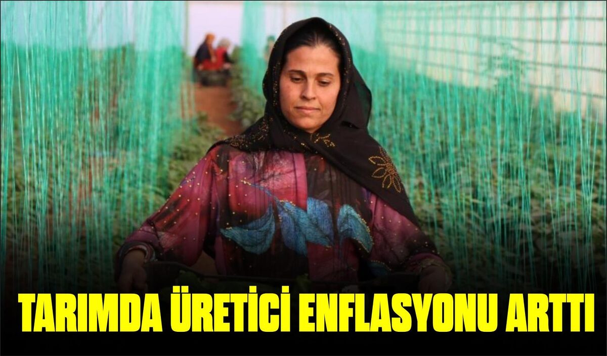 TARIMDA ÜRETİCİ ENFLASYONU ARTTI