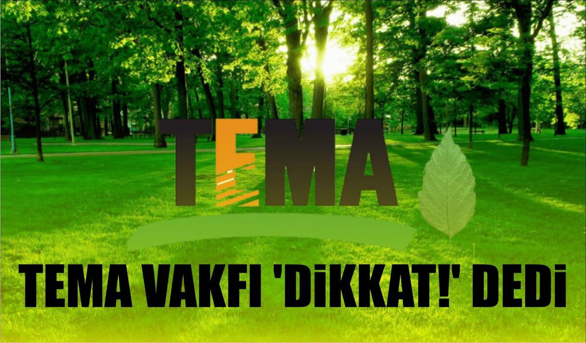 TEMA VAKFI ‘DİKKAT’ DEDİ