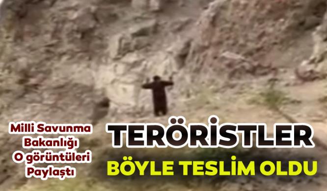 TERÖRİSTLER BÖYLE TESLİM OLDU