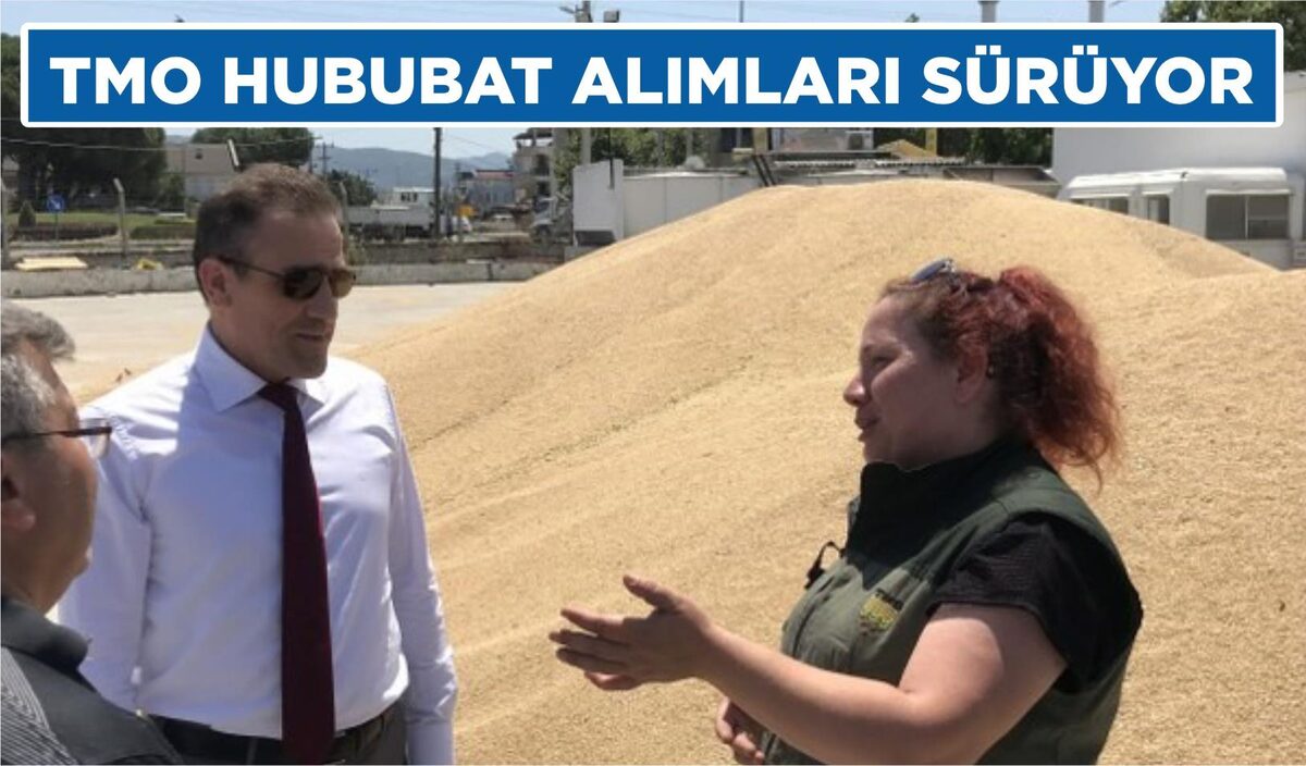 TMO HUBUBAT ALIMLARI SÜRÜYOR