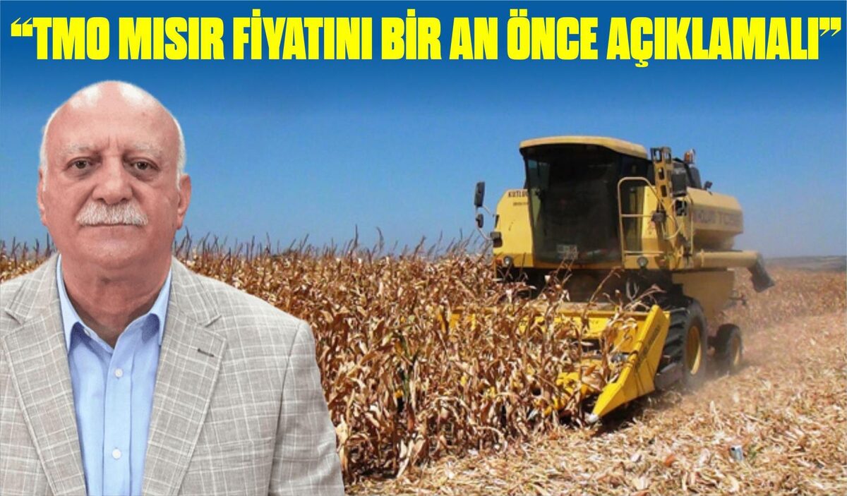 “TMO MISIR FİYATINI BİR AN ÖNCE AÇIKLAMALI”