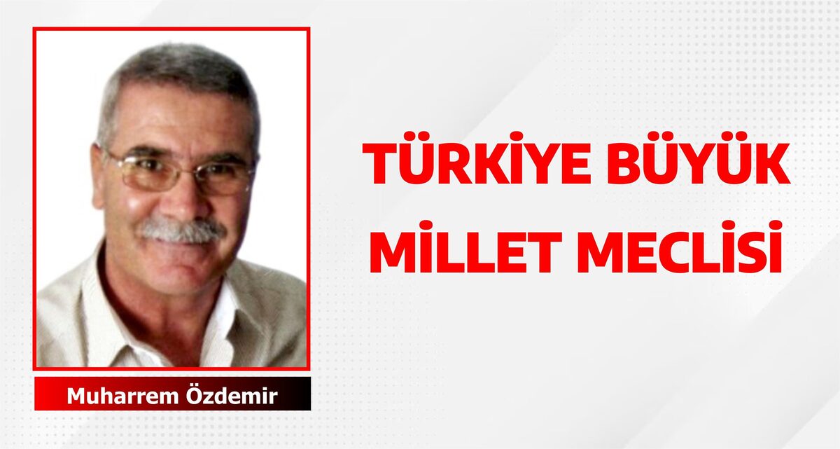 TÜRKİYE BÜYÜK MİLLET MECLİSİ