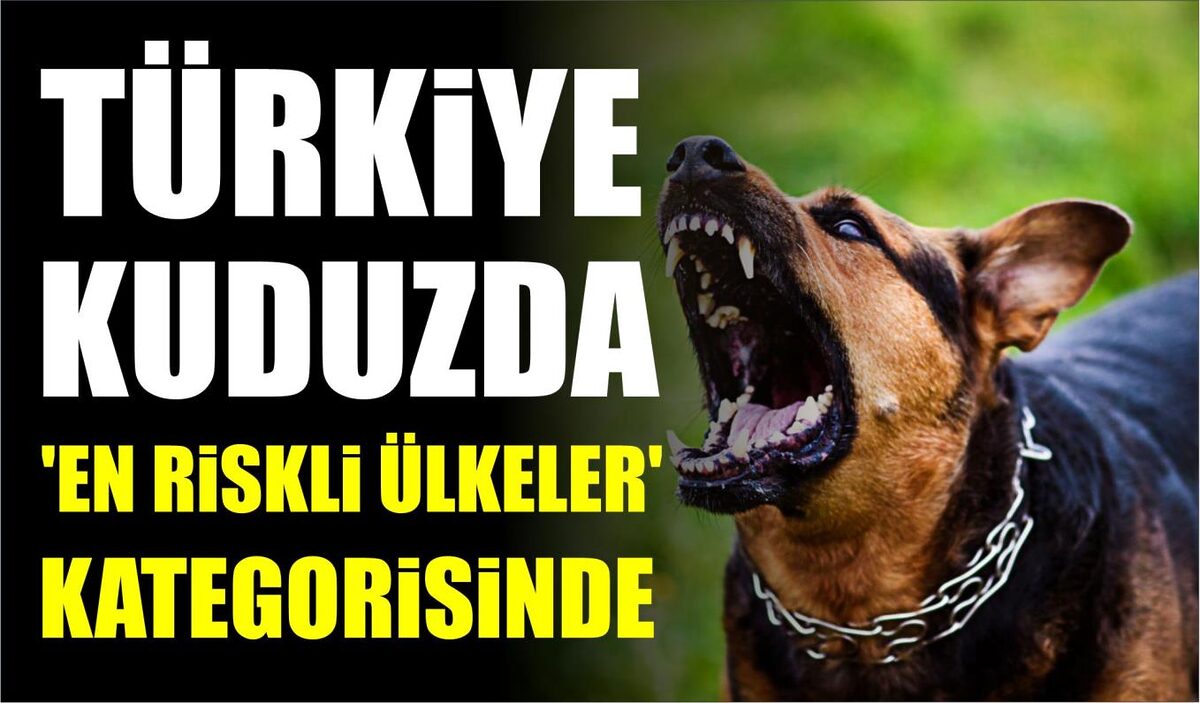 TÜRKİYE KUDUZDA ‘EN RİSKLİ ÜLKELER’ KATEGORİSİNDE