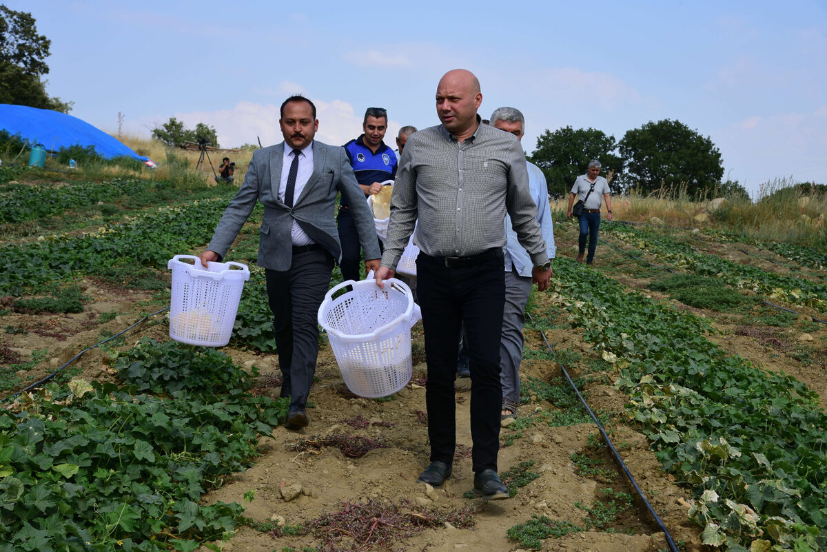 Tarim iscisinin koruyucu ekipmanlari Manisadan - Marmara Bölge: Balıkesir Son Dakika Haberleri ile Hava Durumu