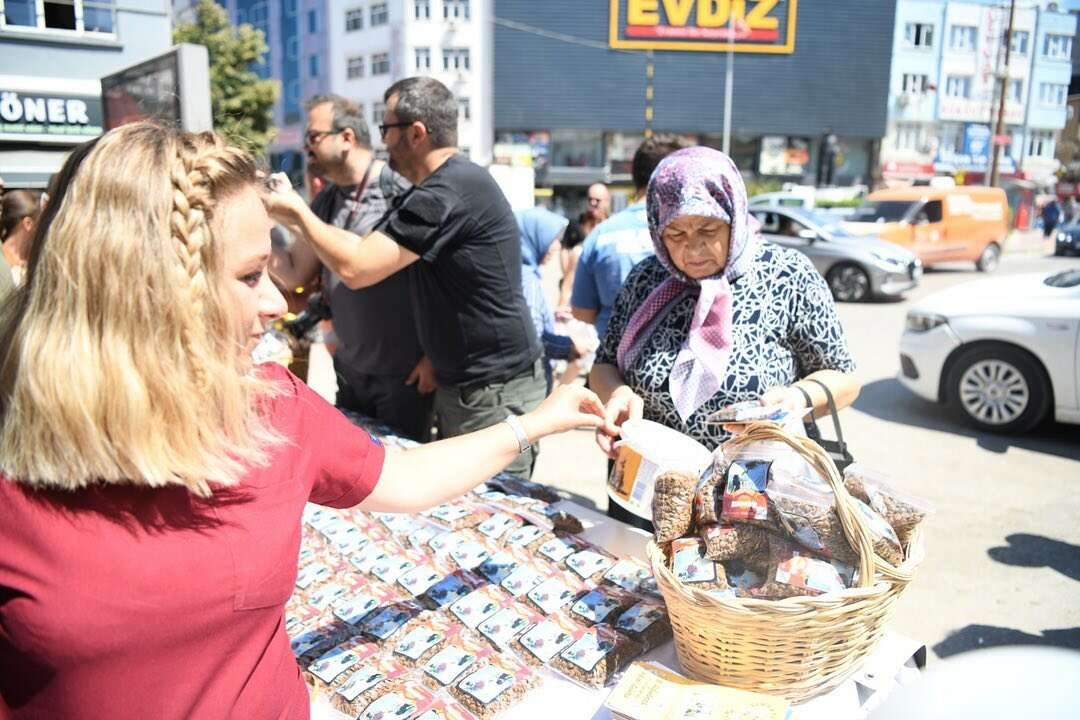 Uluslararasi Kedi Gunune Kesan farkindaligi - Marmara Bölge: Balıkesir Son Dakika Haberleri ile Hava Durumu