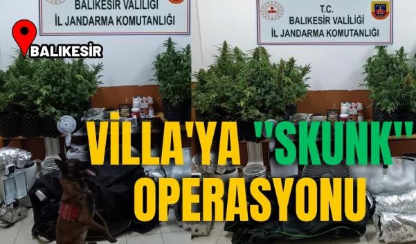 VİLLA'YA “SKUNK” OPERASYONU