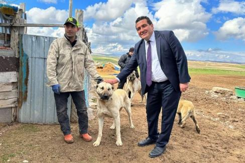 Sivas-Erzincan karayolu üzerinde bulunan