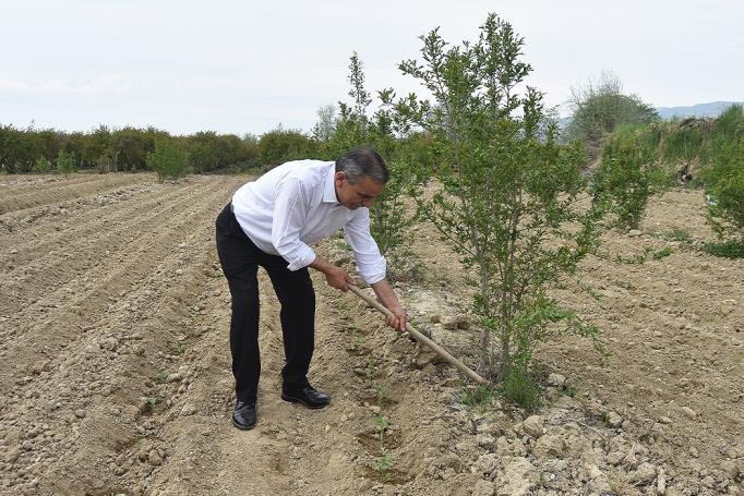 Milliyetçi Hareket Partisi (MHP)