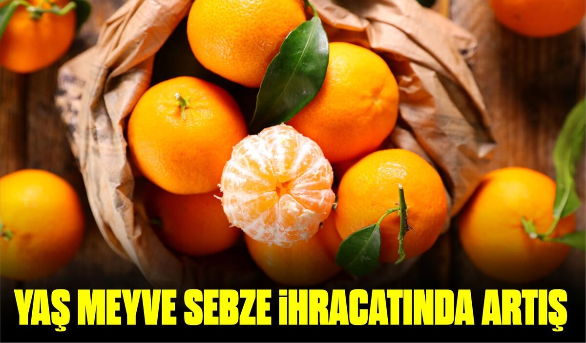 YAŞ MEYVE SEBZE İHRACATINDA BÜYÜK ARTIŞ